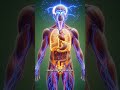 What Coffee Actually Does to Your Body #science #health #education