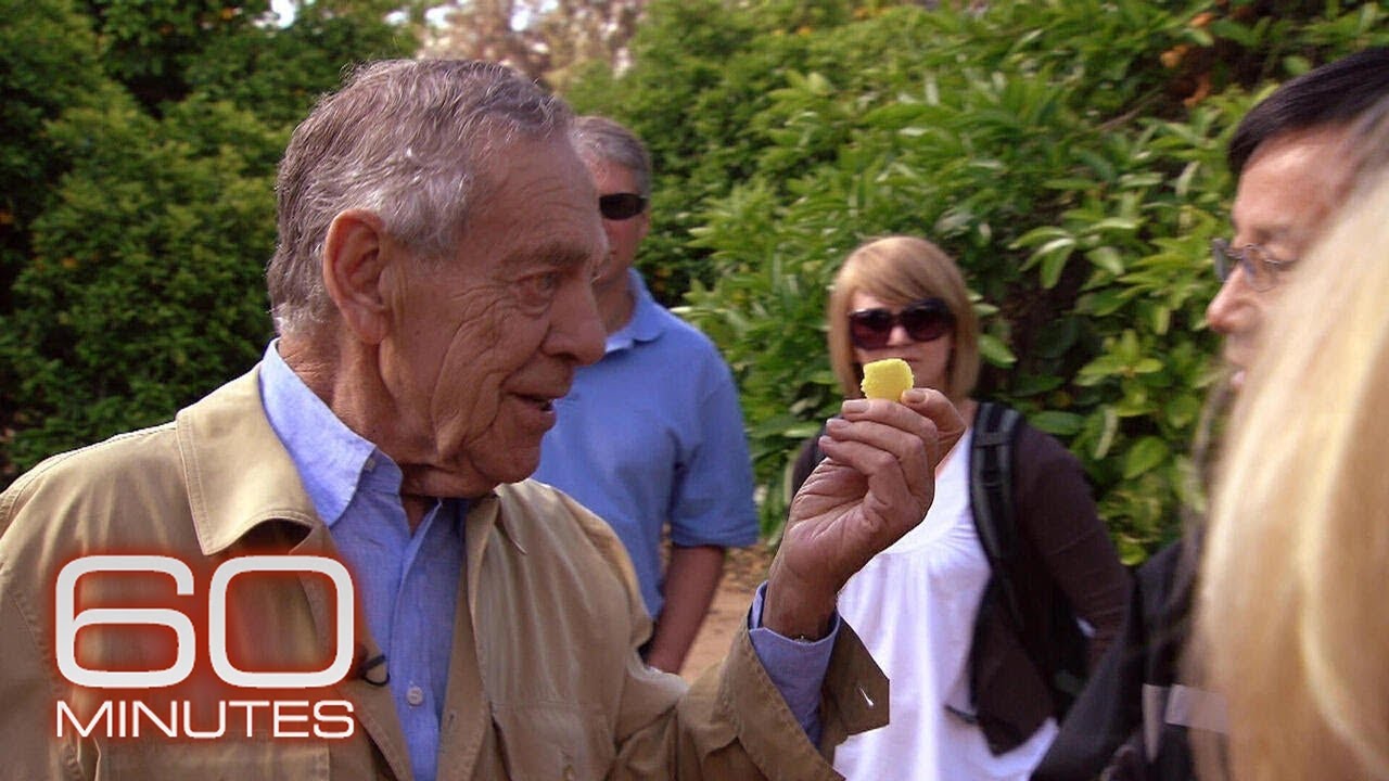 “The Flavorists: The Super Tasters Behind Your Food” |  Archive