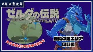 #10【ゼルダの伝説・breath of wild】発見総数450匹を目指せ！丘陵の塔エリア回収編【竜の遊技場】
