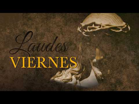 Lauds - Friday of the 24th Week in Ordinary Time