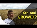 Хто такі Growex? Історія створення