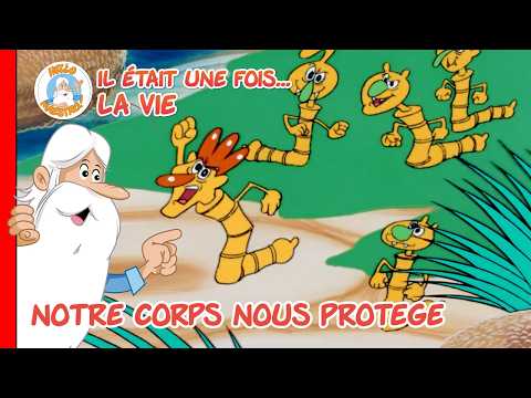 Comment notre corps nous protège | Compilation d'épisodes | Il était une fois... La Vie