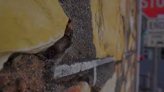 Darwins Hidden Secrets Vol 1. Native Bees In The Cbd