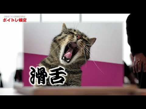ボイトレ検定CM 2021 4