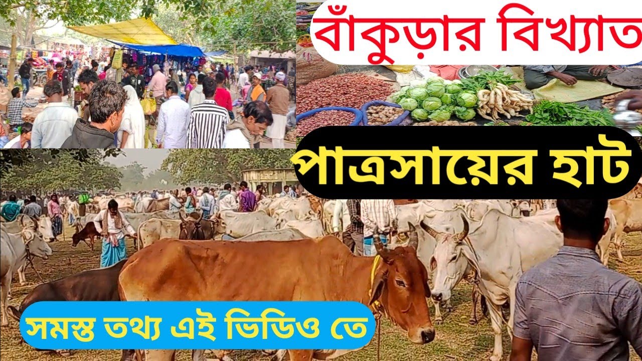 বাঁকুড়ার বিখ্যাত পাত্রসায়ের হাট | Bankura Top Market In Patrasayeer 