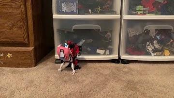 Transformers stop motion: Arcee vs Shatter.