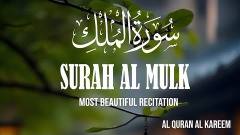 سورة الملك #سورة_الملك #القرآن_الكريم #قران_كريم#قرآن#راحة_نفسية #تلاوة_القرآن