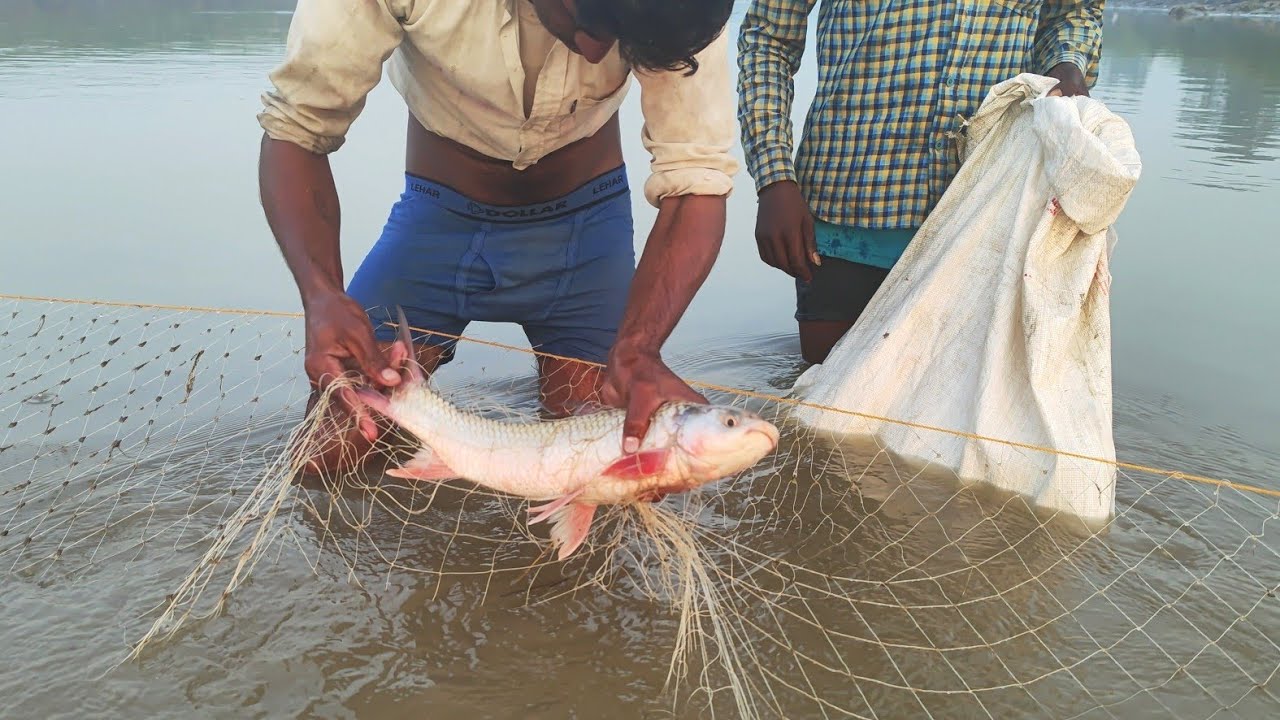 jaal se machli pakdne ka tarika Best Ner Fishing with River YouTube