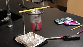 Food Calorimetry Lab