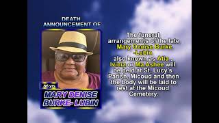 Mary Denise Burke Lubin  short 1
