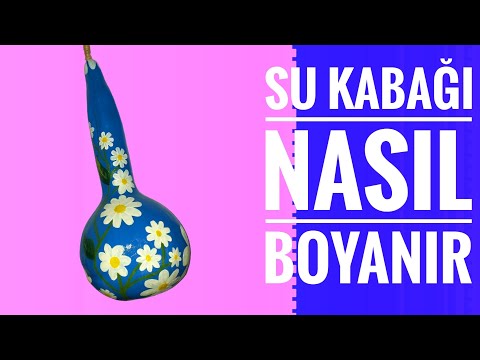 Video: Susak Colorido