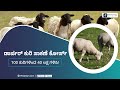 Dorper sheep farming course trailer in kannada  ffreedom app