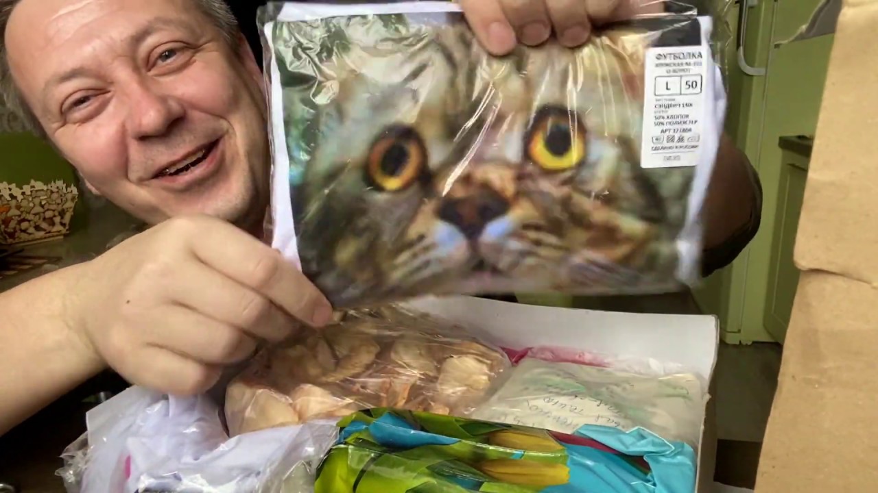 Блоггер горячевский