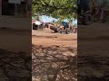Agora Vai