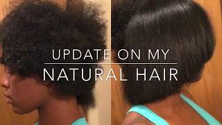 Quick Update On My Natural Hair | Big Chopped April 2017 |