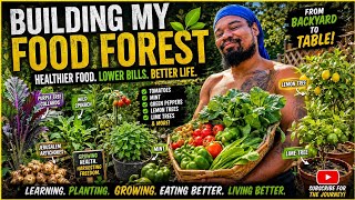 I m Turning My Backyard Into a Food Forest To Save Money Eat Better