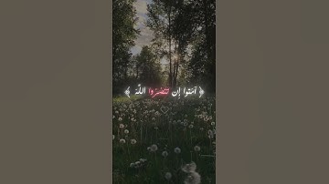 أكتب/ي أي شيء تؤجر عليه 🫶🏻 | تلاوة هادئة
