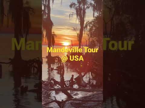 Mandeville Trip @ USA