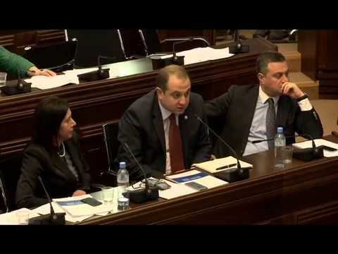 \"თავისუფალი დემოკრატების\" კითხვები თავდაცვის მინისტრს