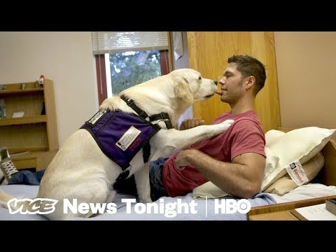 Veteran Suicide Prevention & Detroit Paintball Wars: VICE News Tonight Full Episode (HBO)