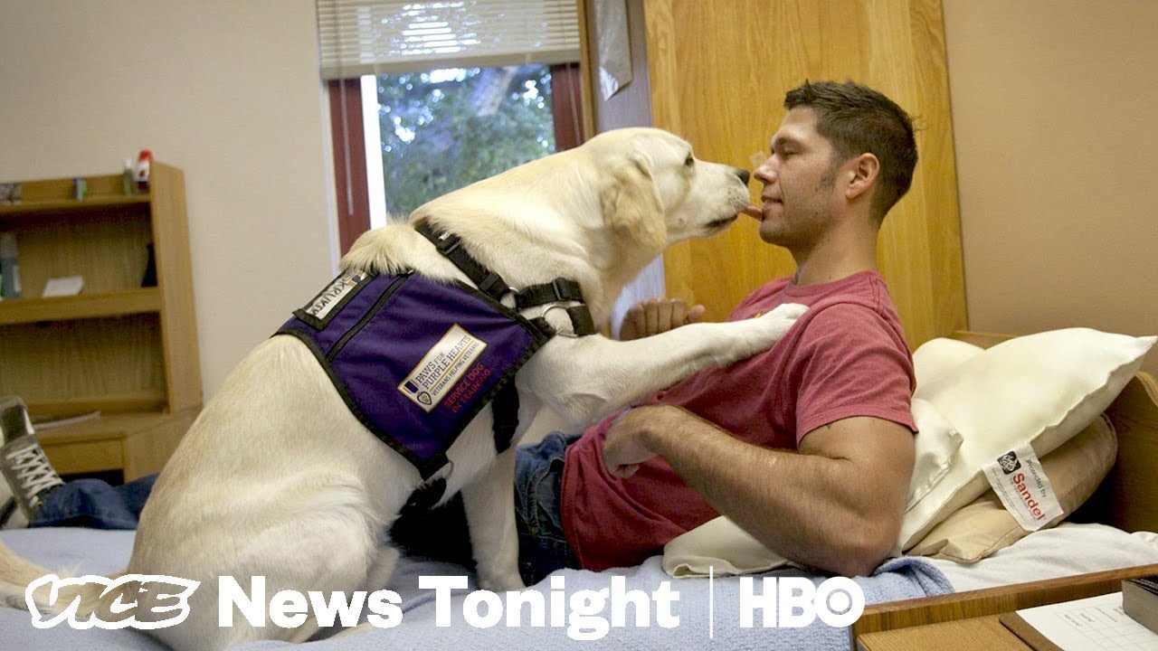 healthcare informatics Veteran Suicide Prevention & Detroit Paintball Wars: VICE News Tonight Full Episode (HBO)
