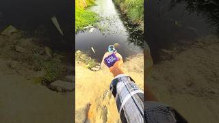 JBL Go 4 pool jumping
