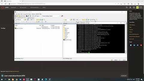 how to upgrade oracle apex previous version to latest version [apex 22.1]