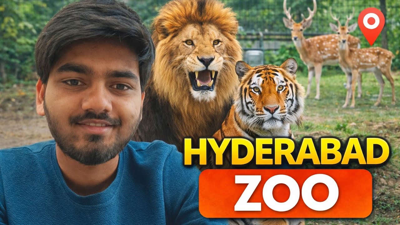 Hyderabad Zoo Park 🏞️ animals 🦁 🐯 🦌 giraffe 🦒 🦓 etc..