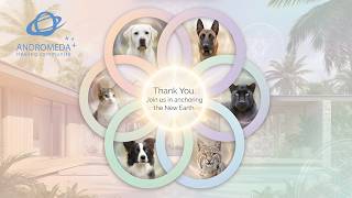 Animal Quantum Healing Program ✨ Recovery for Trauma Survivors