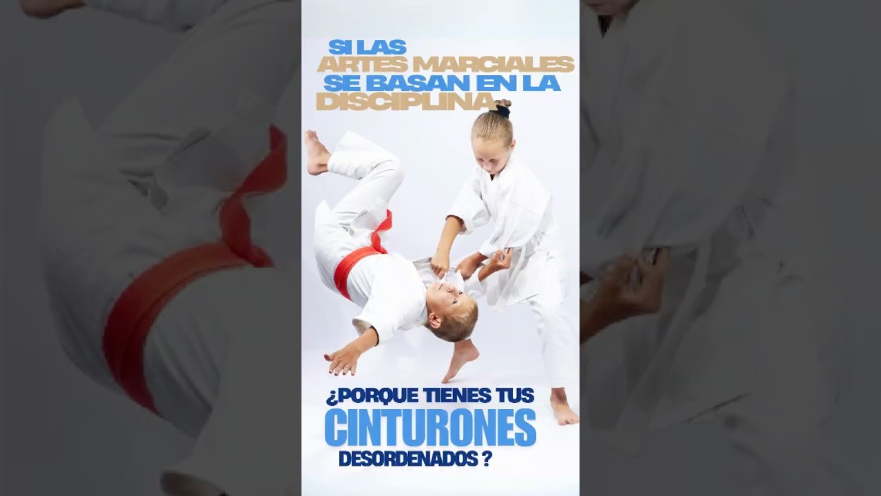 El Porta cinturones EXCELENTUM no es solo un expositor