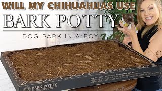 The Bark Potty, Dog Park in a Box. Will my Chihuahuas approve? | Sweetie Pie Pets by Kelly Swift