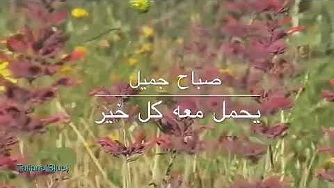 صباح الخير مع تغريد الطير مع تلاوه عطره من الذكر الحكيم مقطع لن تجد له مثيل في اليوتيوب ستعيده
