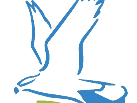 camera iphone 8 plus apk Glaslyn Ospreys Live Stream