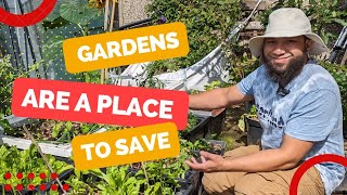 Recycling Ideas For The Garden - Reduce, Reuse, Recycle, Repurpose by My Family Garden 2,196 views 9 months ago 12 minutes, 55 seconds