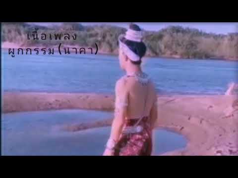 เนื้อเพลง​ ผูกกรรม (นาคา)​ ก้อง ห้วยไร่