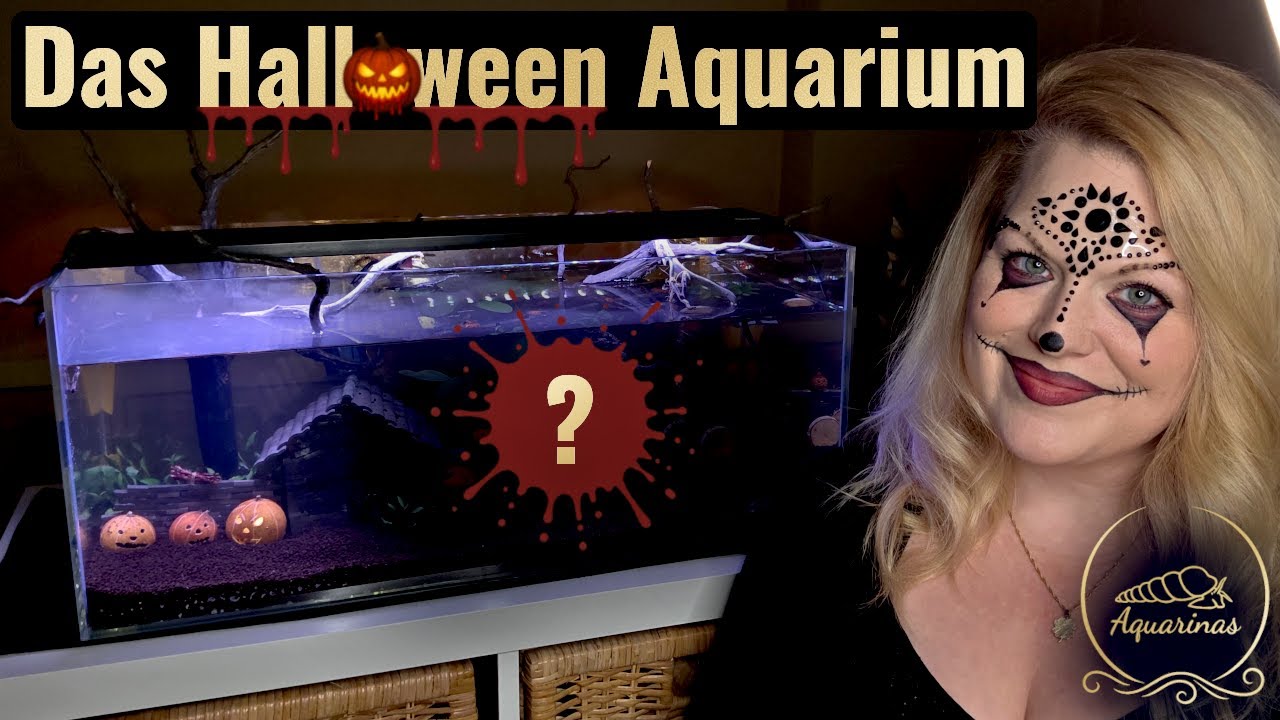 Ein Aquarium wie aus einem Horrorfilm?! 😱 DIY Halloween Aquarium 🎃