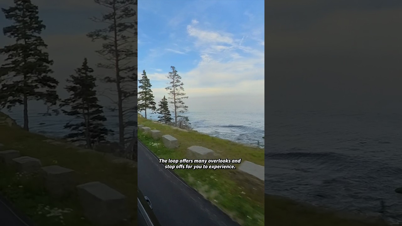 The Ultimate Guide to Acadia National Park Loop: Must-See Spots