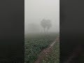 gaow ki sardi #village #winter