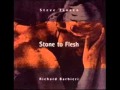 Steve Jansen &amp; Richard Barbieri - Closer Than I (Stone To Flesh)