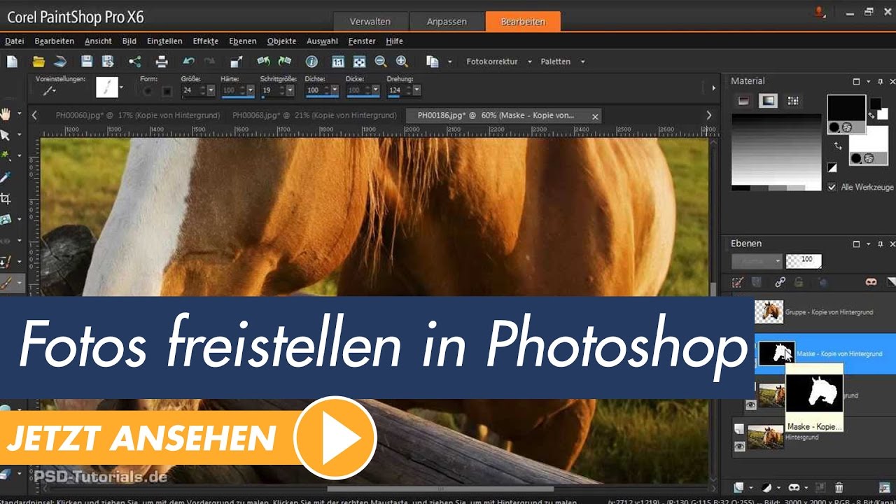 Update New Corel PaintShop Pro Tutorial: Fotos freistellen mit der intelligenten Auswahl