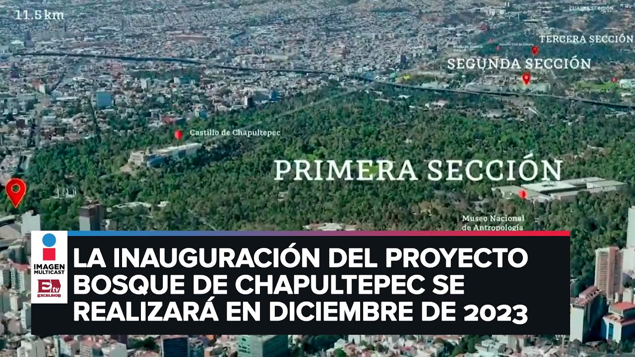 Inauguración del Proyecto de Bosque de Chapultepec será en diciembre de  2023: Sheinbaum - YouTube
