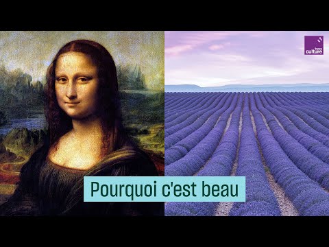 Vidéo: Est-ce que la fonction des revues de beauté ?