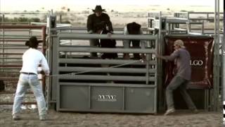 THE COWBOY IN THE CONTINENTAL SUIT