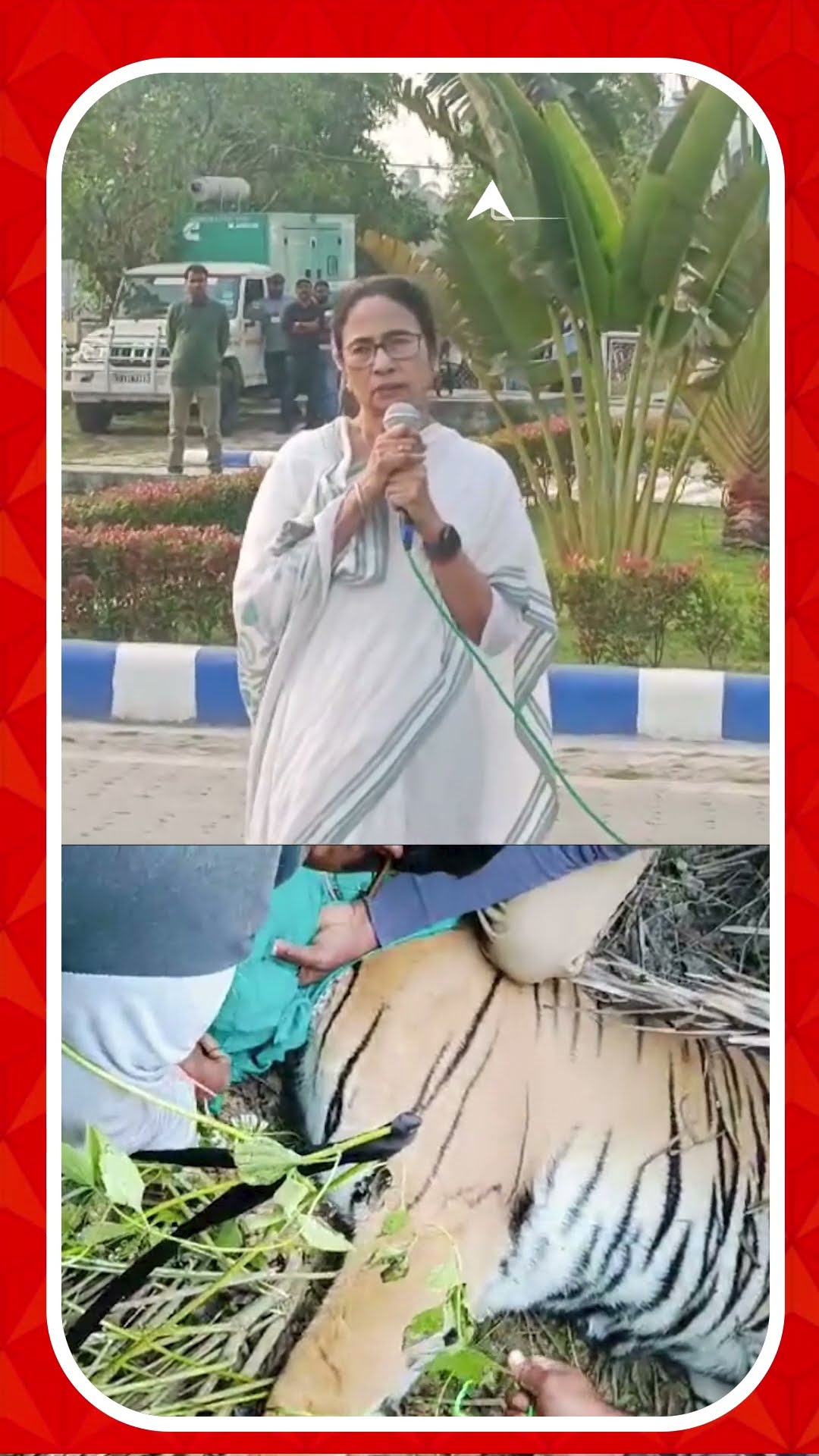 সুস্থ আছে বাঘিনী, জানালেন মুখ্যমন্ত্রী