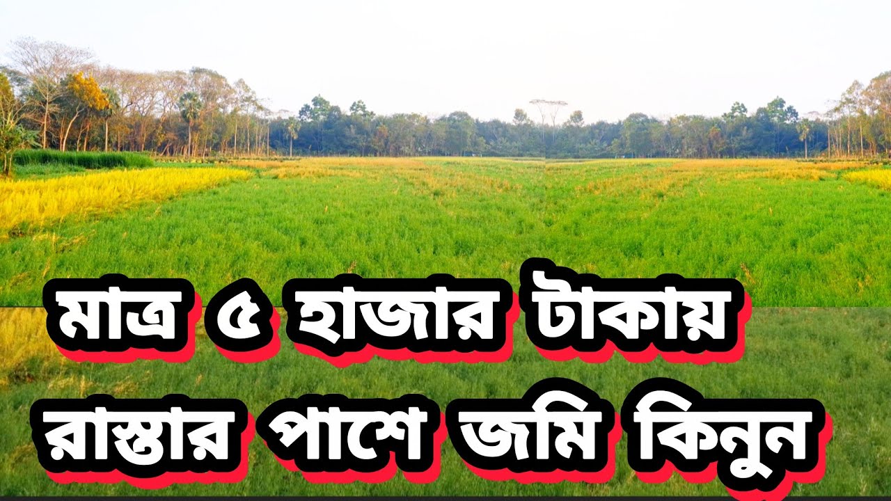মাত্র ৫ হাজার টাকায় রাস্তার পাশে জমি কিনুন! 
