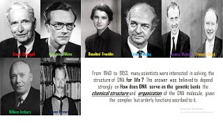 10| DNA Structure | Data available to Watson and Crick | Bruce Fraser and Linus  Pauling DNA Model