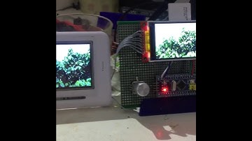 STMDUINO STM32F103(Blue pill) play video  TFT LCD ILI9341