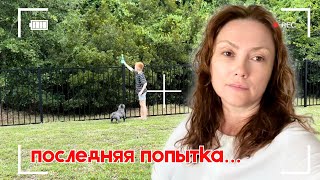 видео: Я просто не верю, что это случилось … Столько сказала и всё зря #влог #жизньвсша картинка: Я просто не верю, что это случилось … Столько сказала и всё зря #влог #жизньвсша