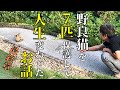野良猫に人生を変えられたオッサンの重大決意！【チャンネルの今後について】