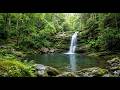 Relaxing Music &amp; Sound of Water 🌿 Calm Your Mind, Anxiety Relief, Deep Sleep | Deep Healing &amp; Focus
